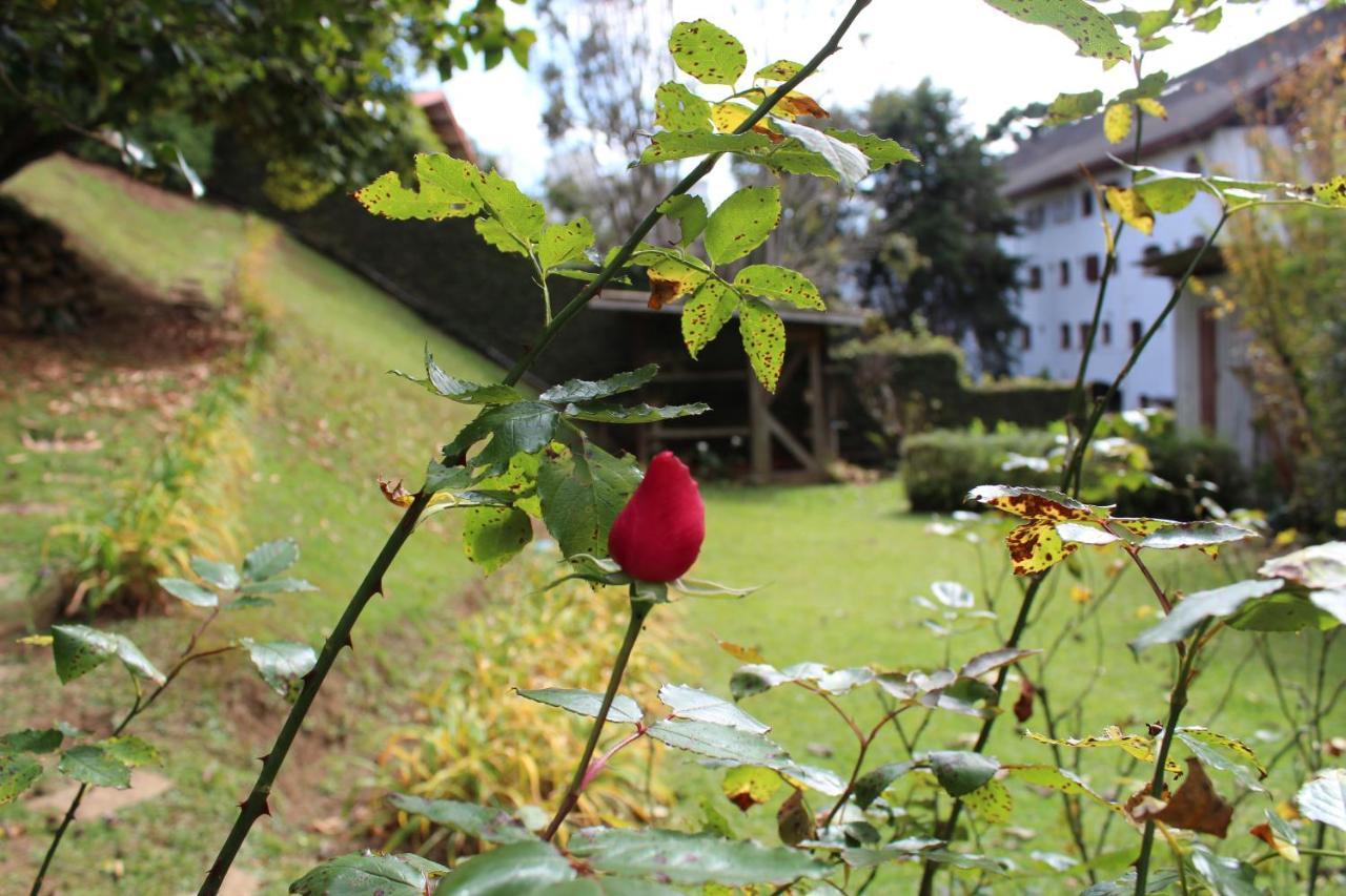 Casa Aconchegante No Capivari Campos do Jordão Eksteriør billede